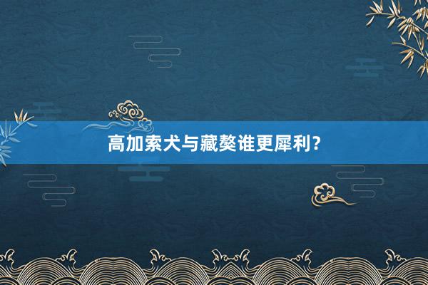 高加索犬与藏獒谁更犀利？