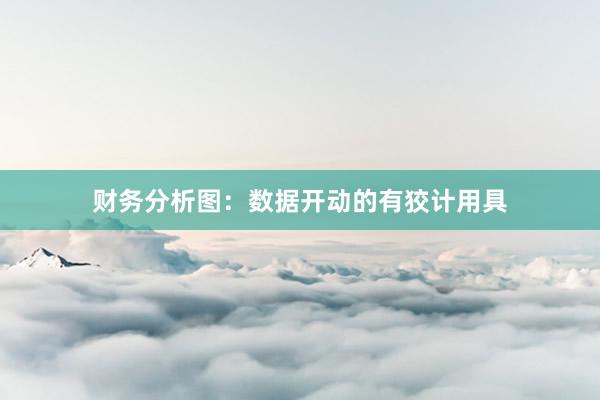 财务分析图：数据开动的有狡计用具