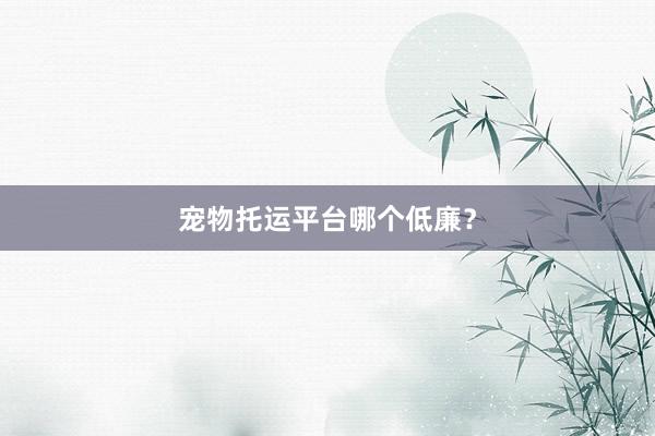 宠物托运平台哪个低廉？