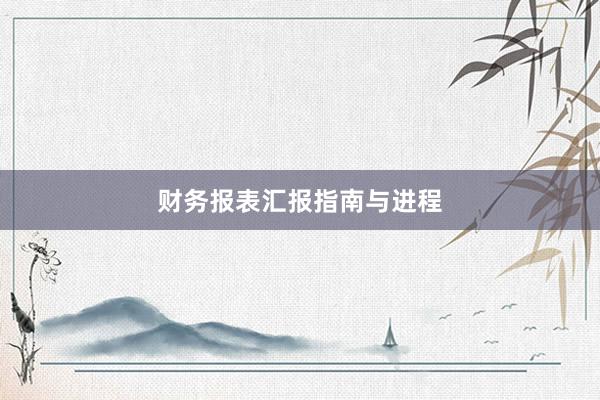 财务报表汇报指南与进程